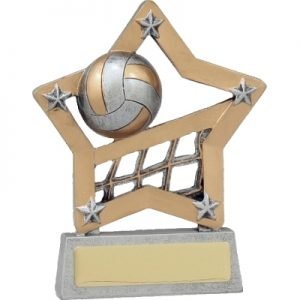 Volleyball Trophy