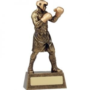 Martial Arts & Boxing Trophy