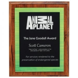 Plaques & Shields
