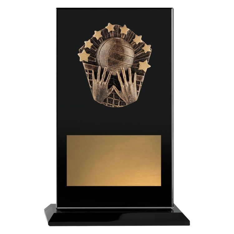 Cosmos Glass Volleyball 185mm