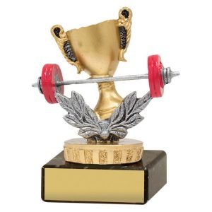 Fitness Trophies