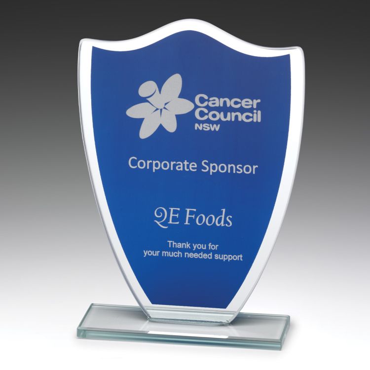 Blue Glass Shield 165mm