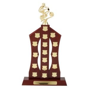Perpetual Trophies & Shields